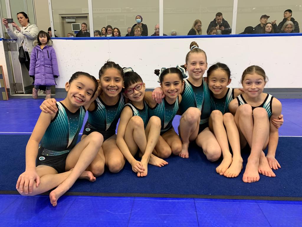 Home Page Langley Gymnastics Foundation